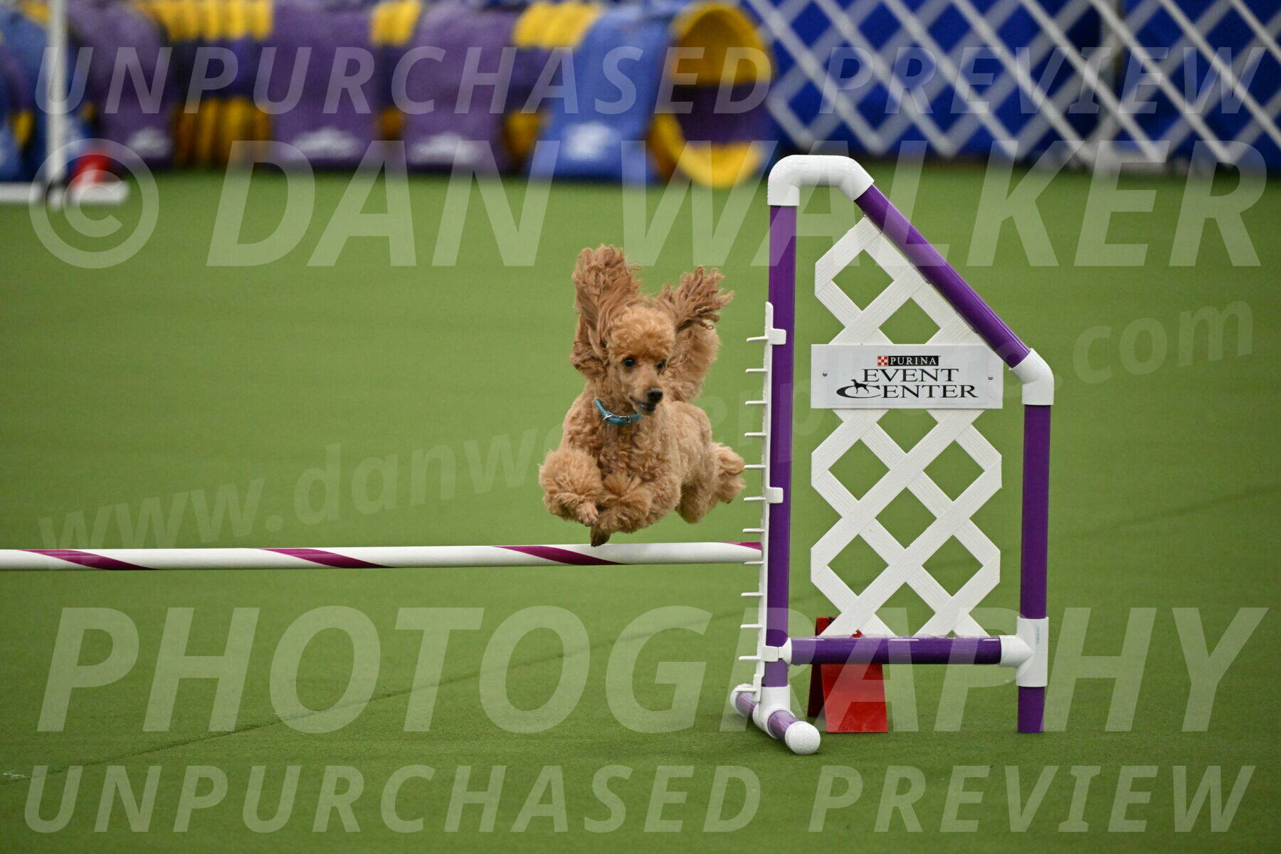 MAS-EX-JWW-12-Inch_0919