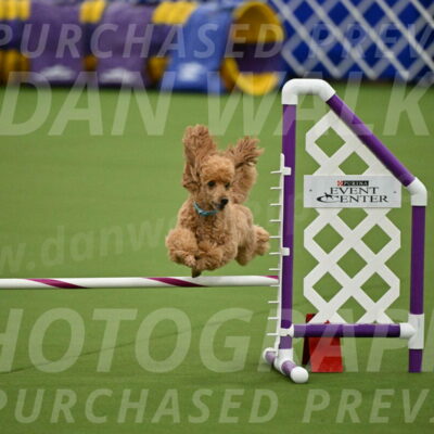 MAS-EX-JWW-12-Inch_0919