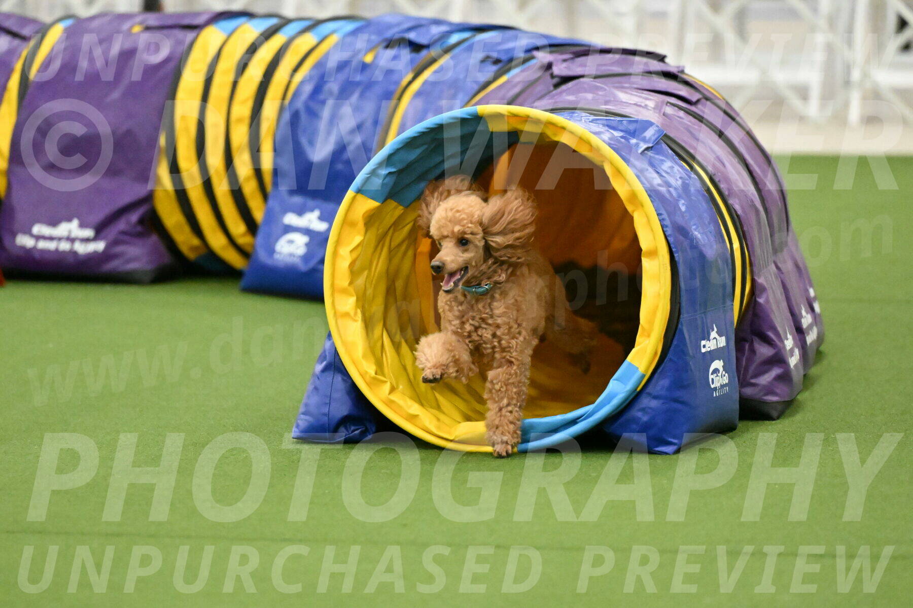 MAS-EX-JWW-12-Inch_0938