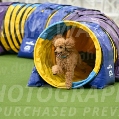 MAS-EX-JWW-12-Inch_0938