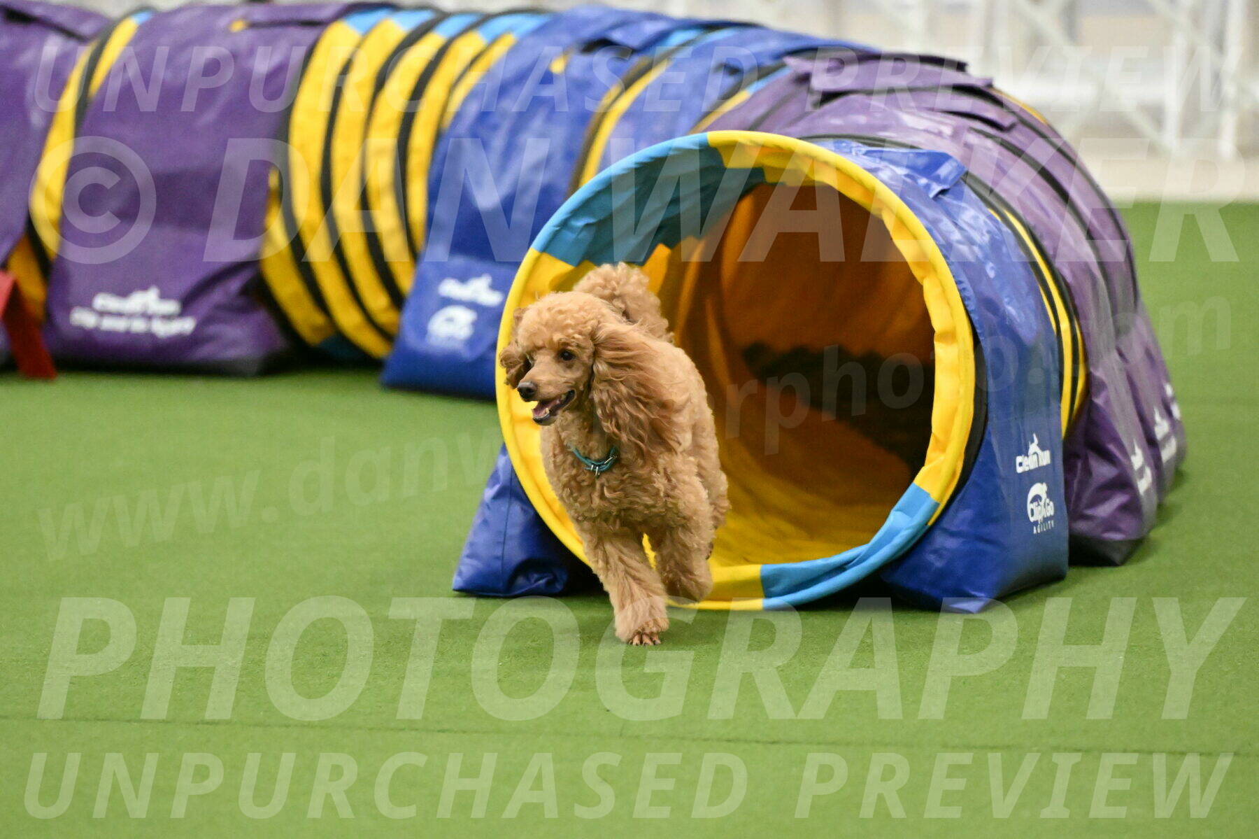 MAS-EX-JWW-12-Inch_0940