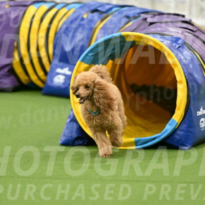 MAS-EX-JWW-12-Inch_0940