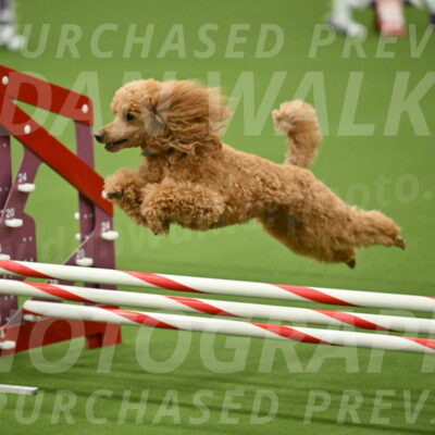 MAS-EX-JWW-12-Inch_0949