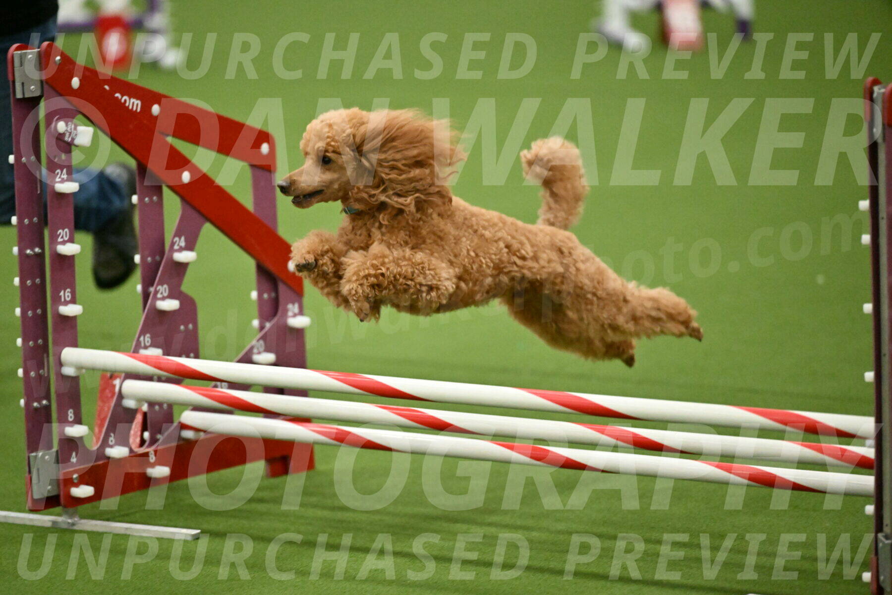 MAS-EX-JWW-12-Inch_0949