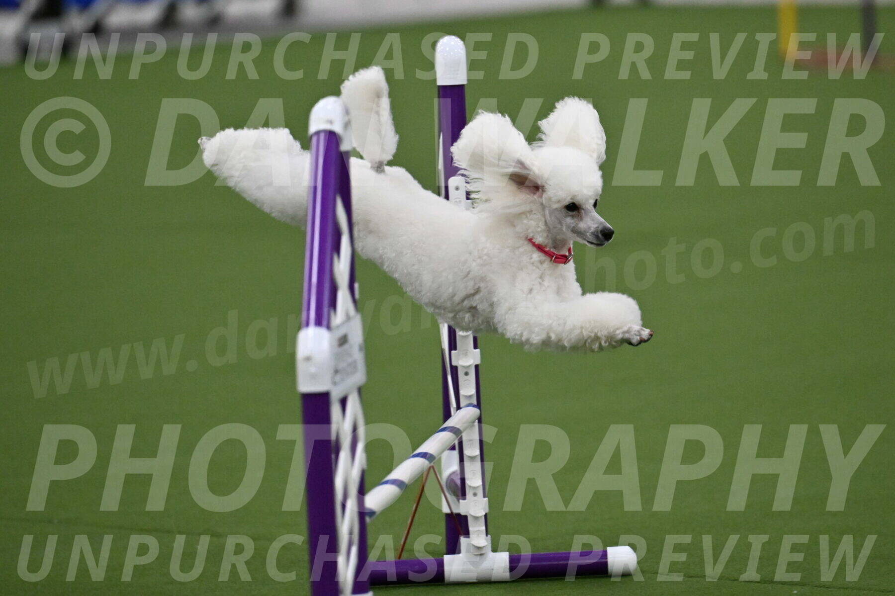 MAS-EX-JWW-12-Inch_0952