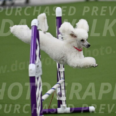 MAS-EX-JWW-12-Inch_0952