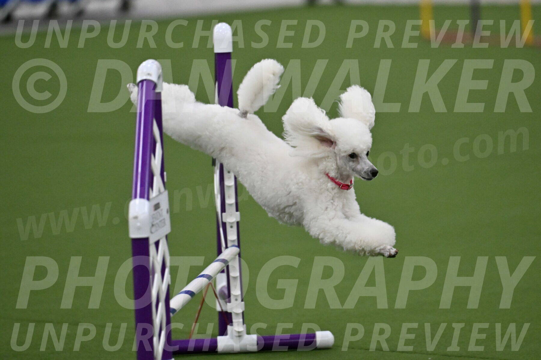 MAS-EX-JWW-12-Inch_0953