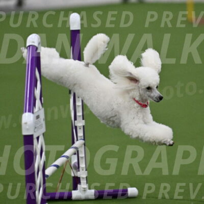 MAS-EX-JWW-12-Inch_0953