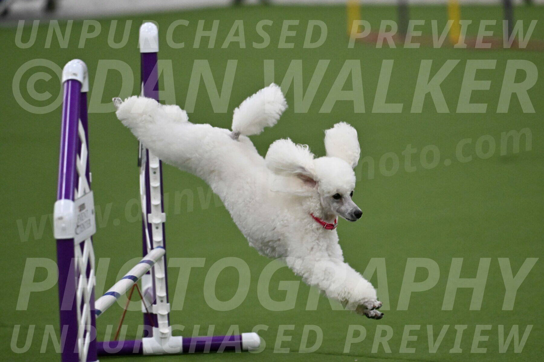 MAS-EX-JWW-12-Inch_0954