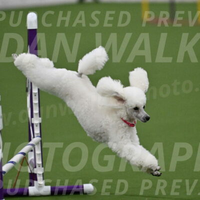 MAS-EX-JWW-12-Inch_0954