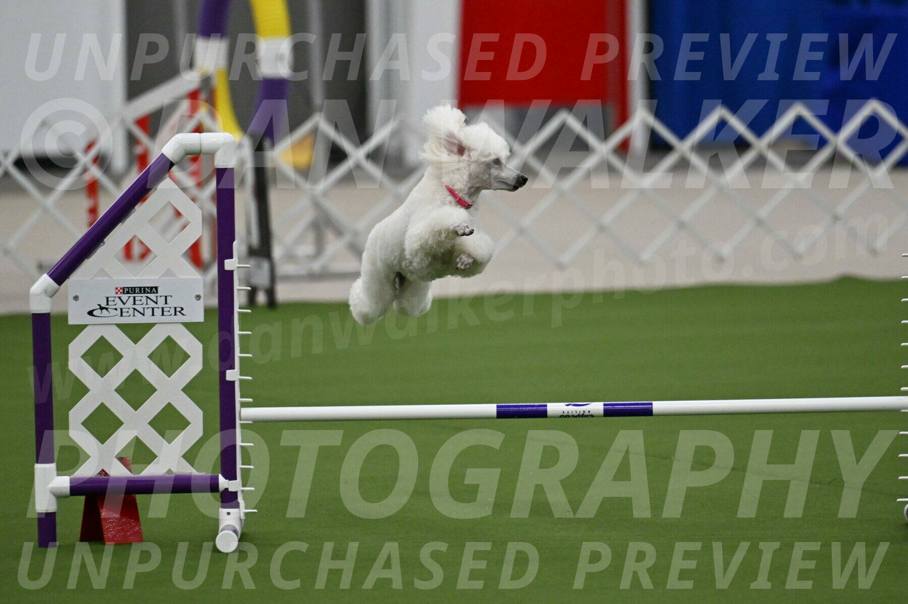 MAS-EX-JWW-12-Inch_0961