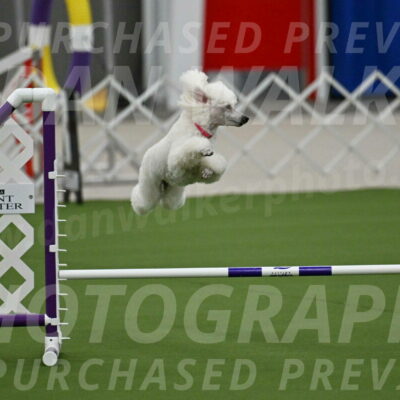 MAS-EX-JWW-12-Inch_0961