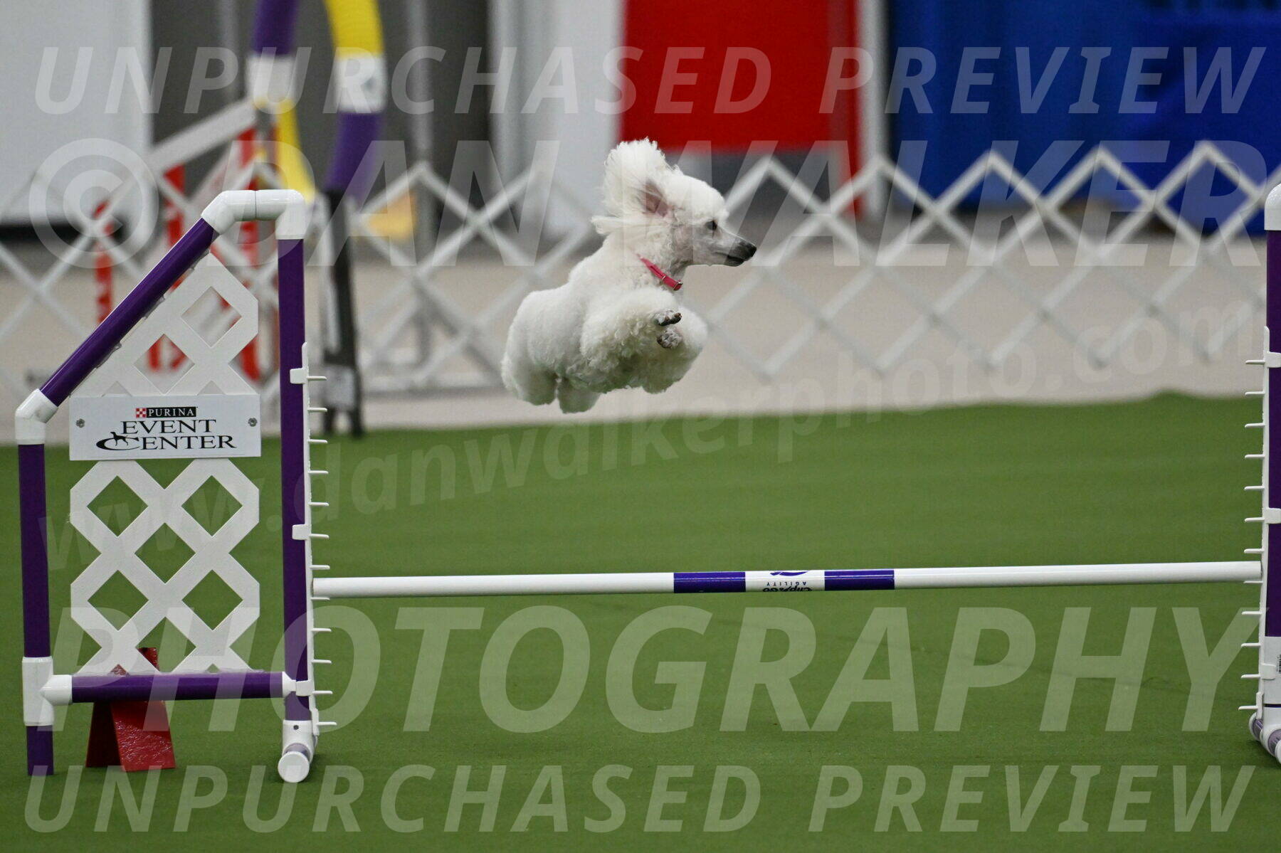 MAS-EX-JWW-12-Inch_0962