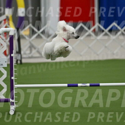 MAS-EX-JWW-12-Inch_0962