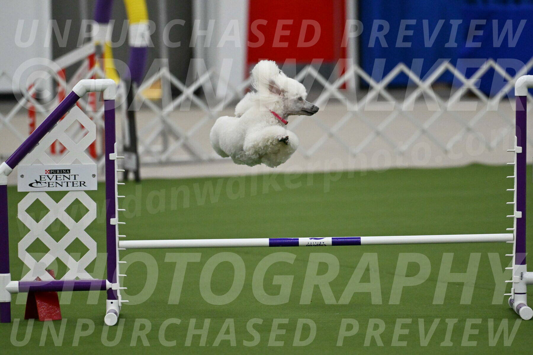 MAS-EX-JWW-12-Inch_0963