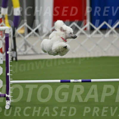 MAS-EX-JWW-12-Inch_0963