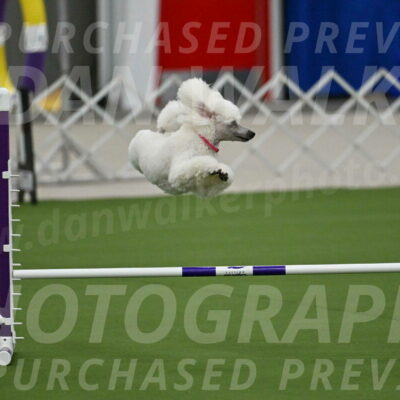 MAS-EX-JWW-12-Inch_0964