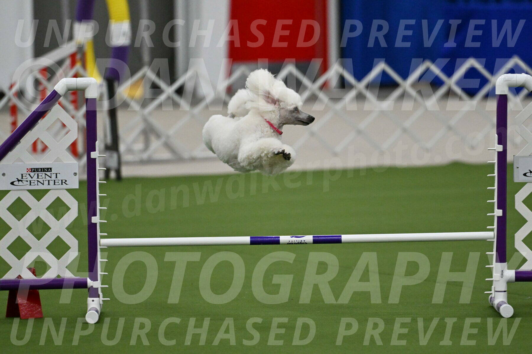 MAS-EX-JWW-12-Inch_0964