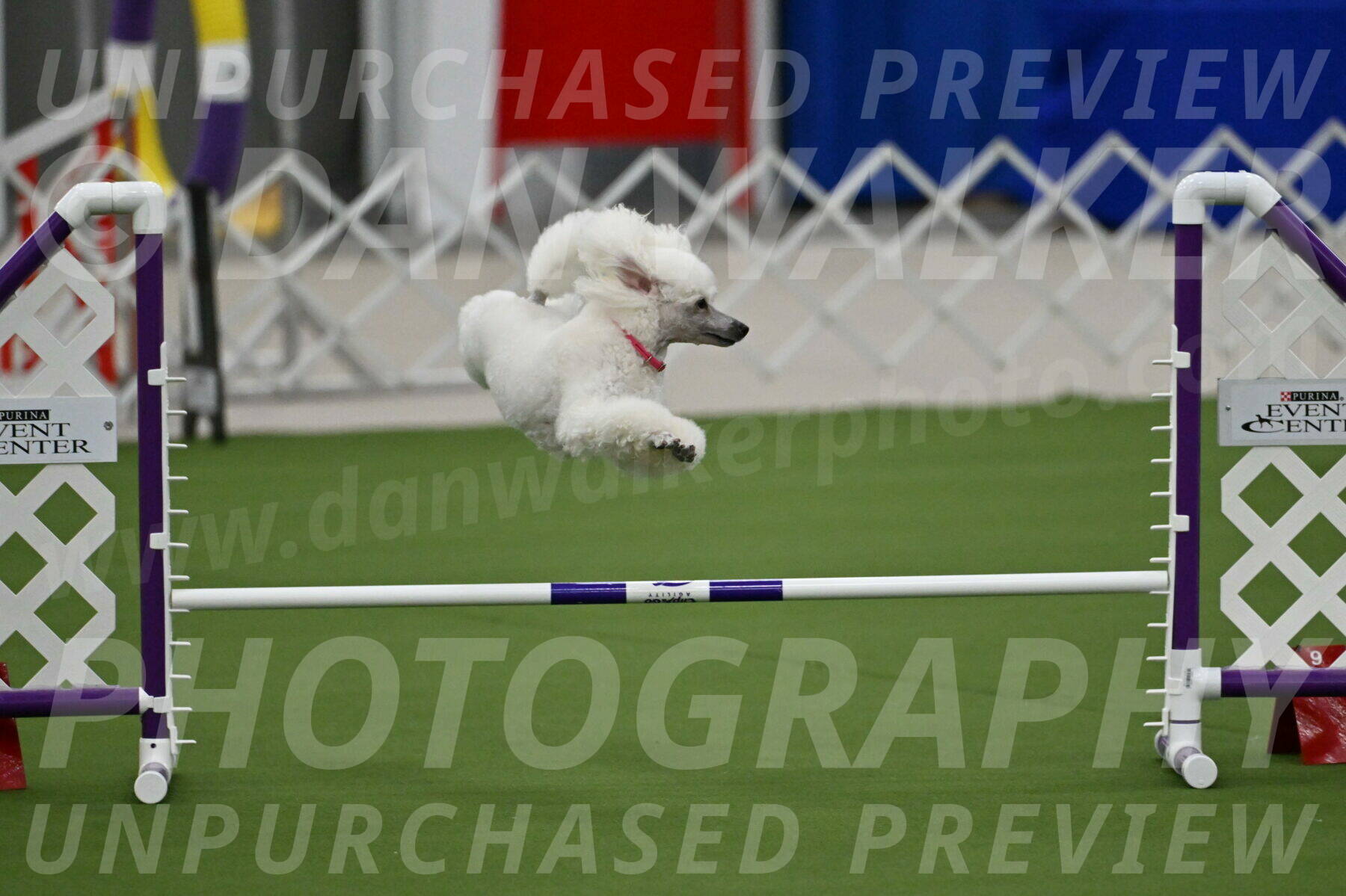 MAS-EX-JWW-12-Inch_0965