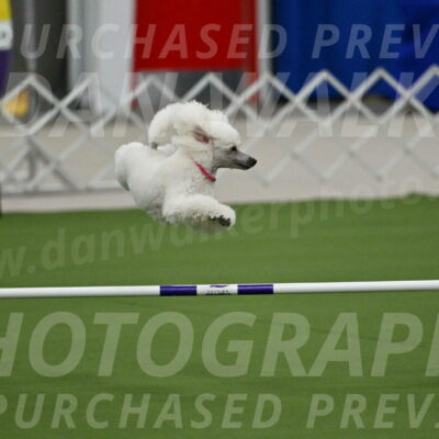 MAS-EX-JWW-12-Inch_0965