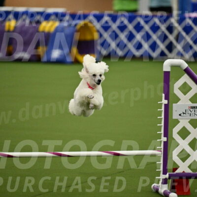 MAS-EX-JWW-12-Inch_0969