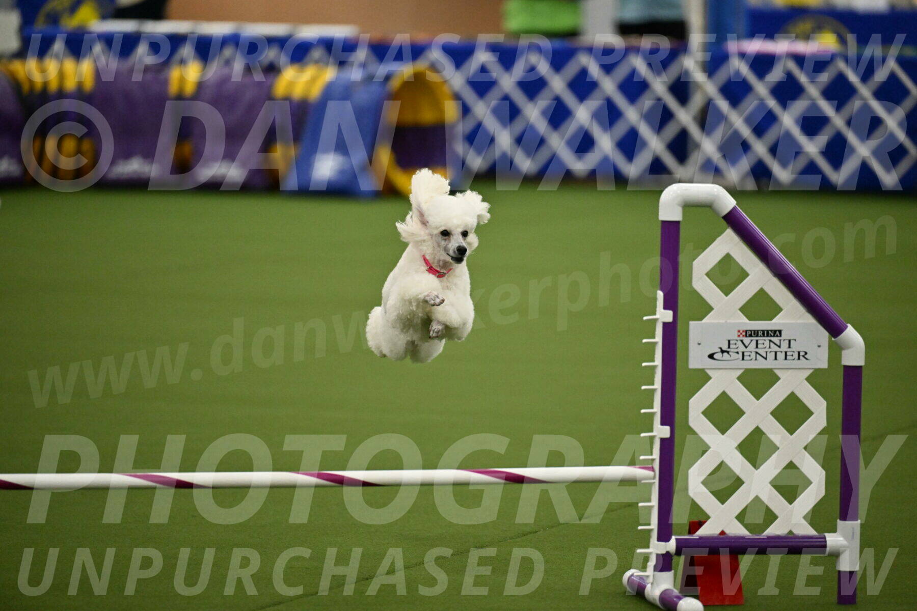 MAS-EX-JWW-12-Inch_0969