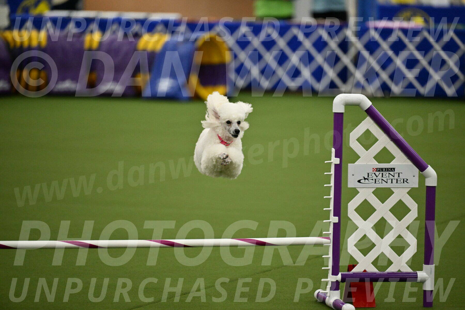 MAS-EX-JWW-12-Inch_0970