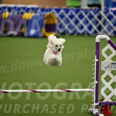 MAS-EX-JWW-12-Inch_0970