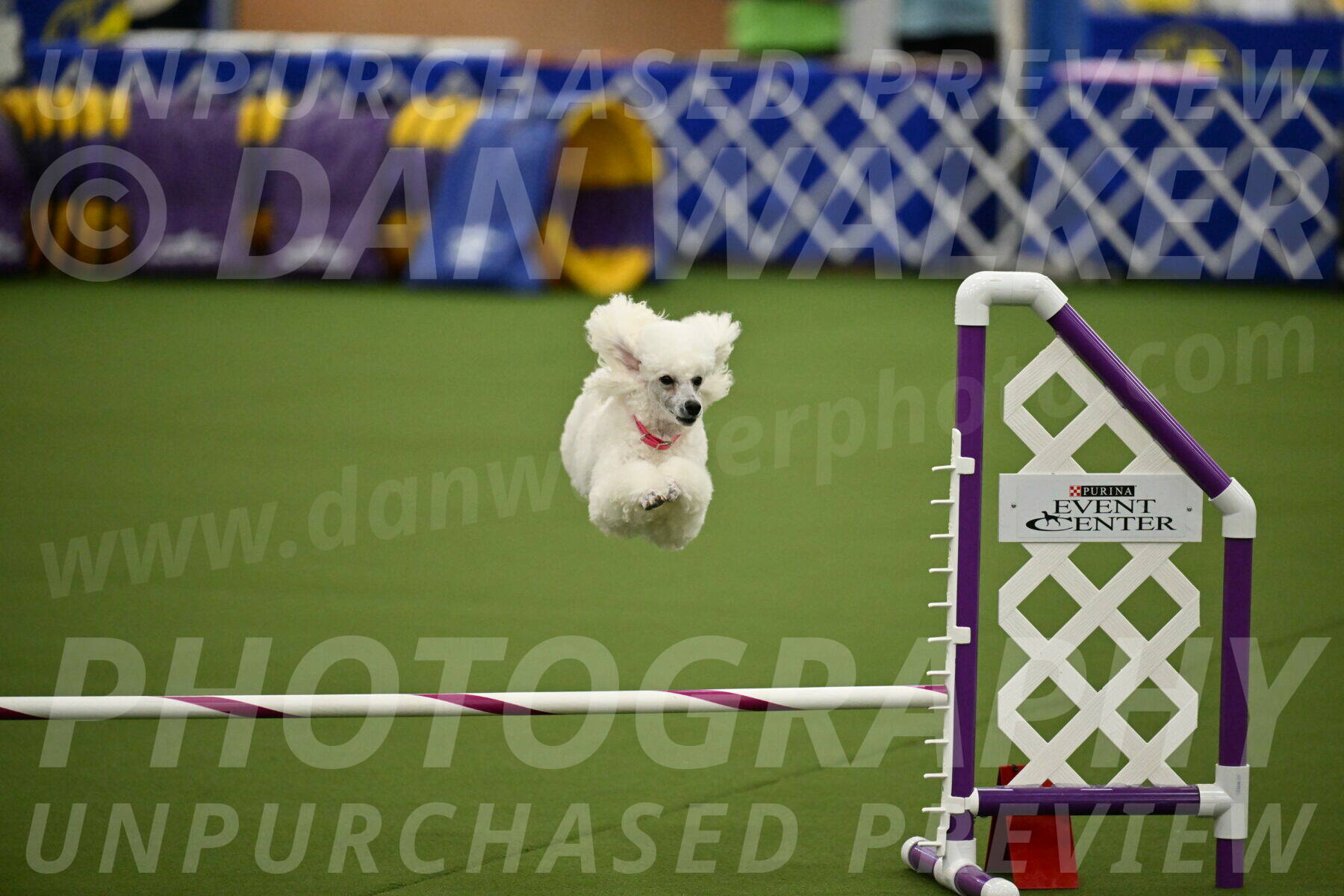 MAS-EX-JWW-12-Inch_0971