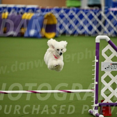 MAS-EX-JWW-12-Inch_0971