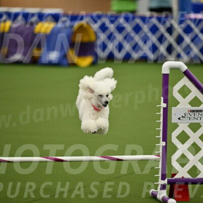 MAS-EX-JWW-12-Inch_0972