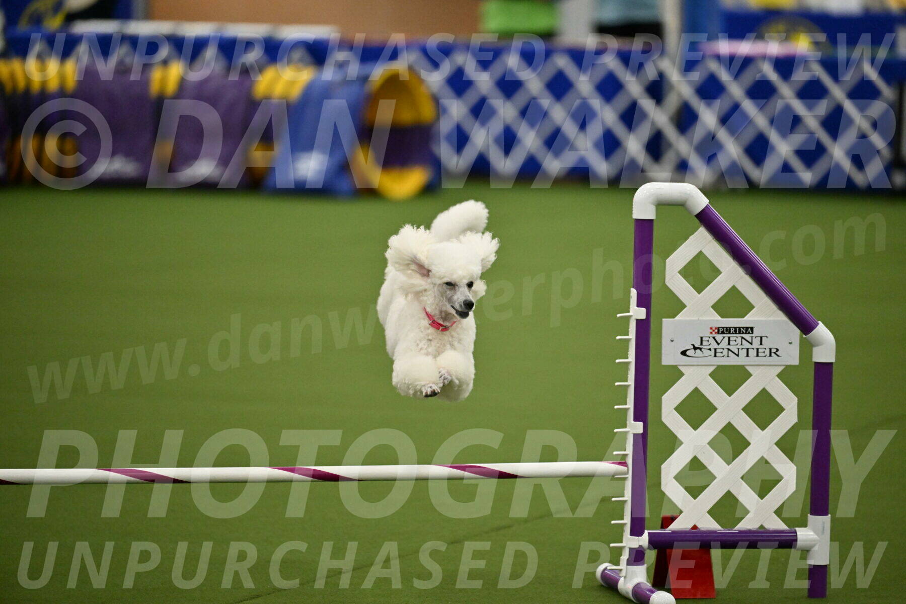 MAS-EX-JWW-12-Inch_0972