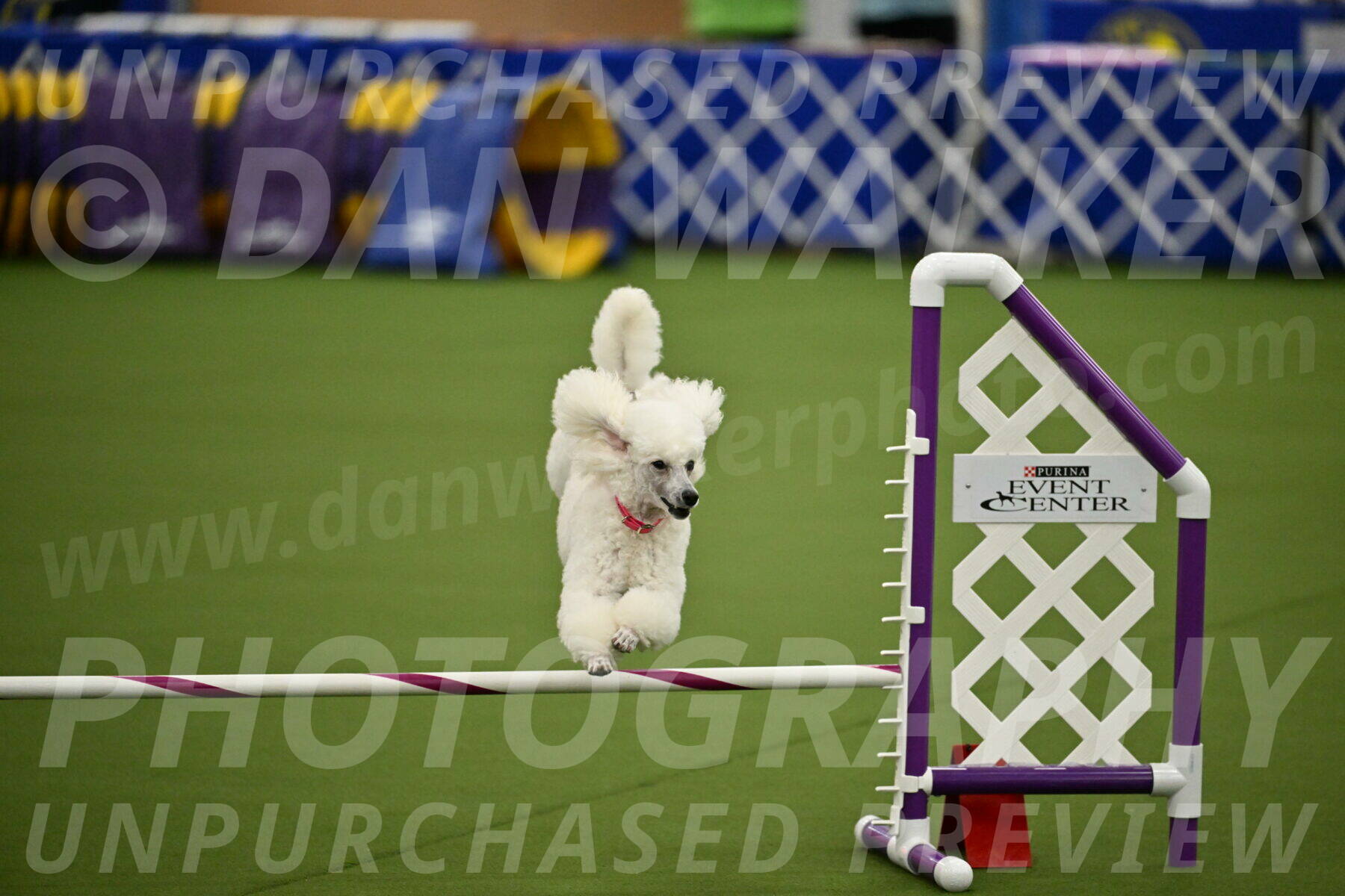 MAS-EX-JWW-12-Inch_0973