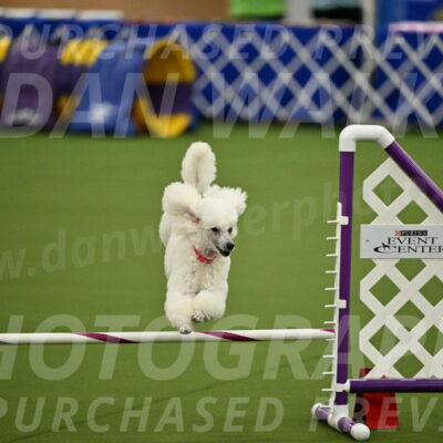 MAS-EX-JWW-12-Inch_0973