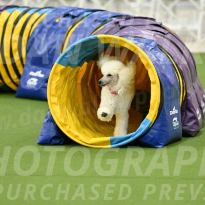 MAS-EX-JWW-12-Inch_0976