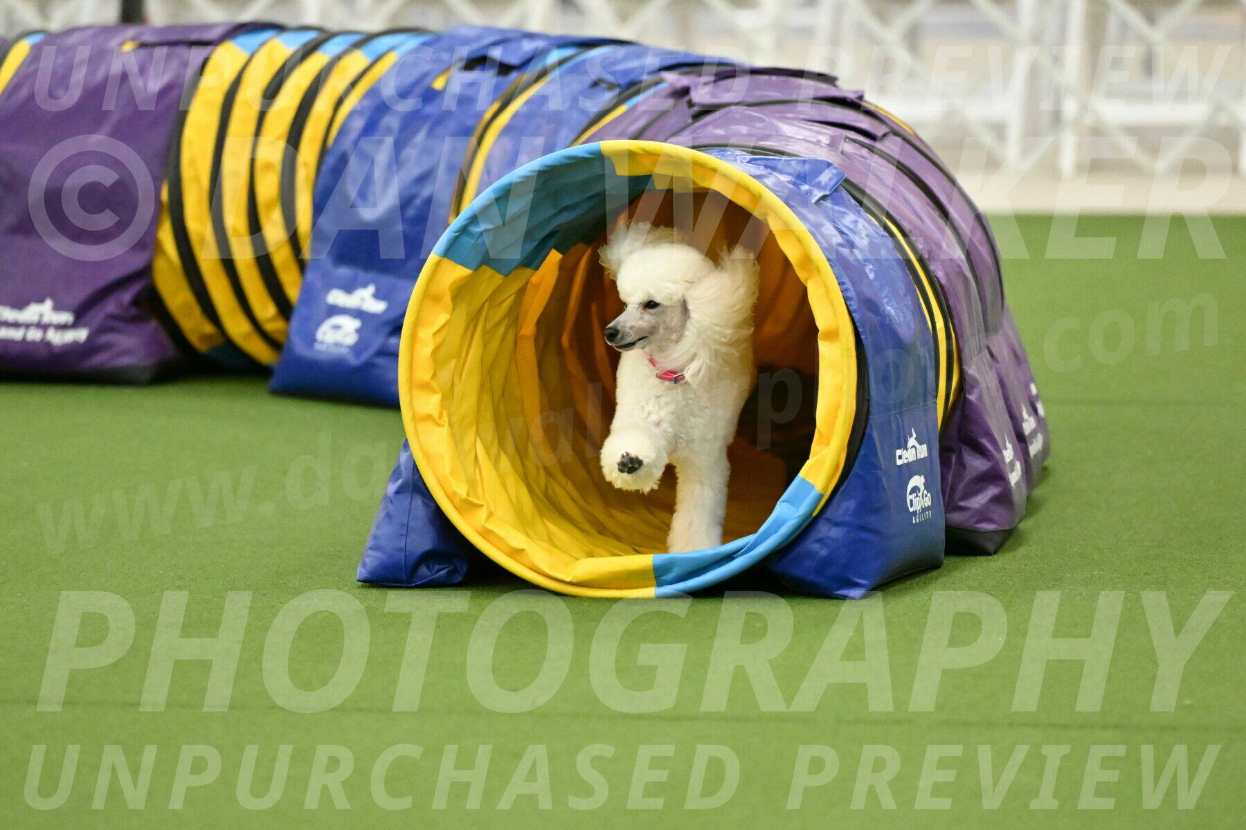 MAS-EX-JWW-12-Inch_0976