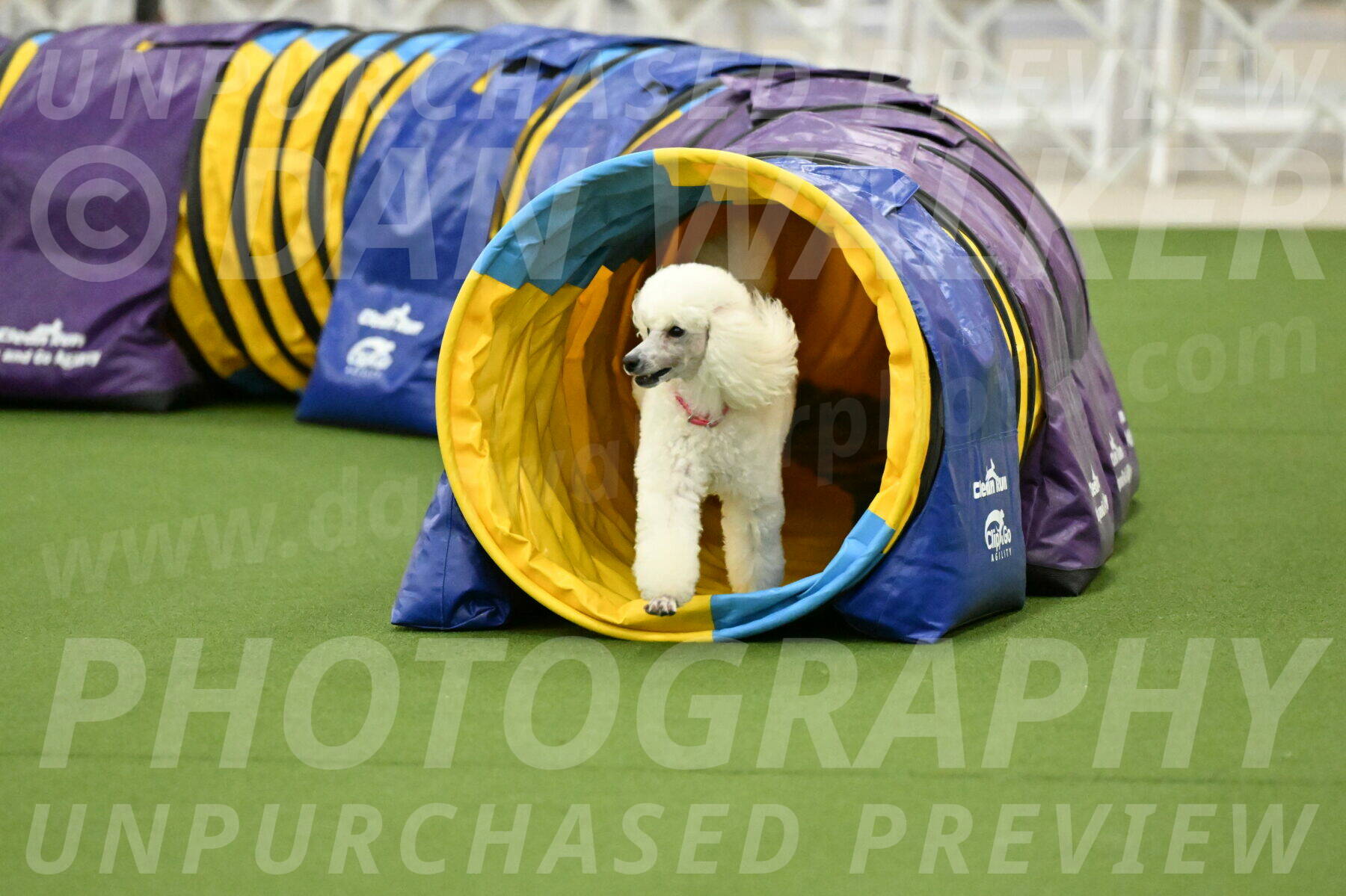 MAS-EX-JWW-12-Inch_0977