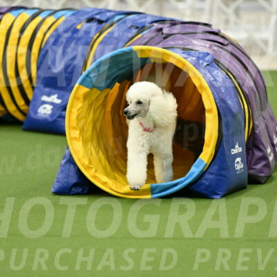 MAS-EX-JWW-12-Inch_0977