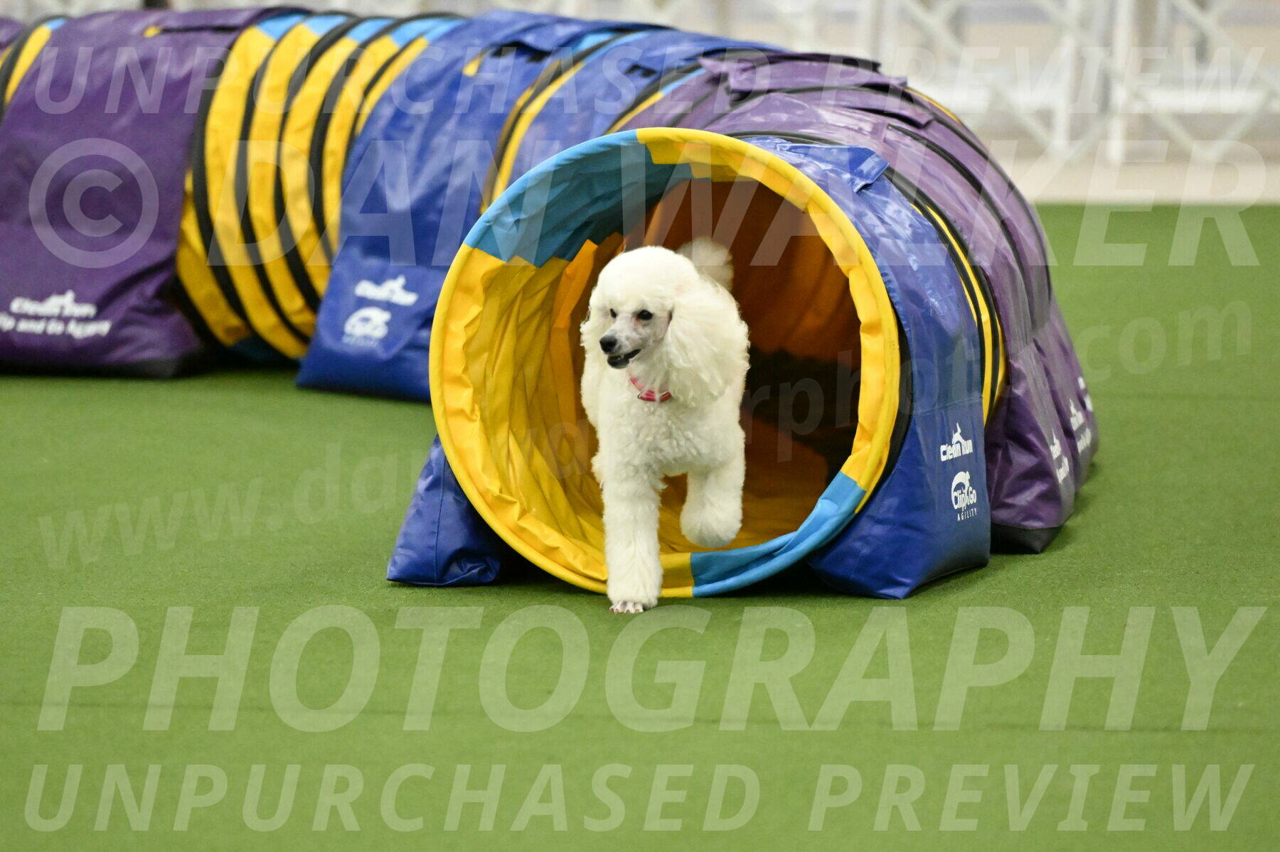 MAS-EX-JWW-12-Inch_0978