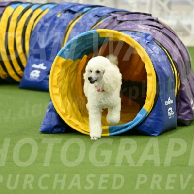 MAS-EX-JWW-12-Inch_0978