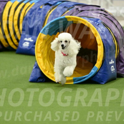 MAS-EX-JWW-12-Inch_0979