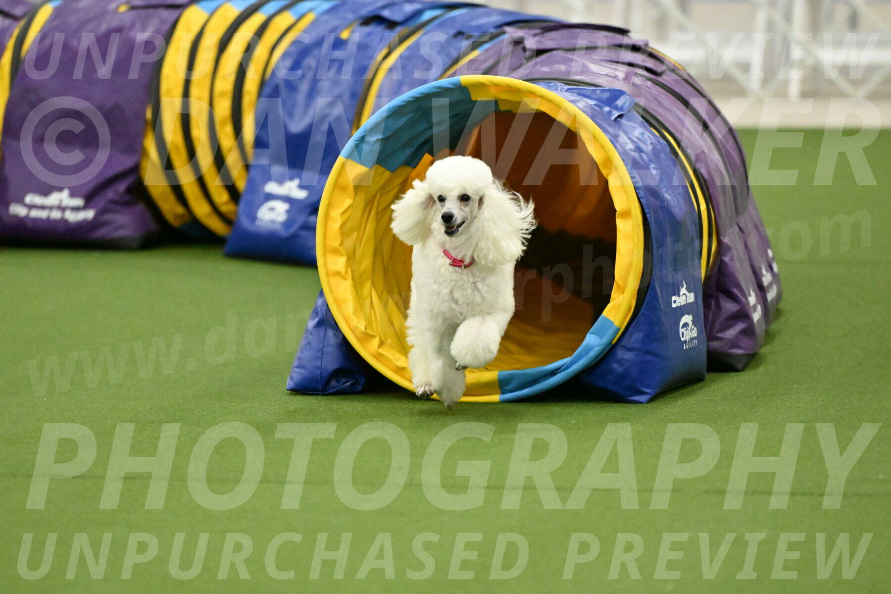 MAS-EX-JWW-12-Inch_0979