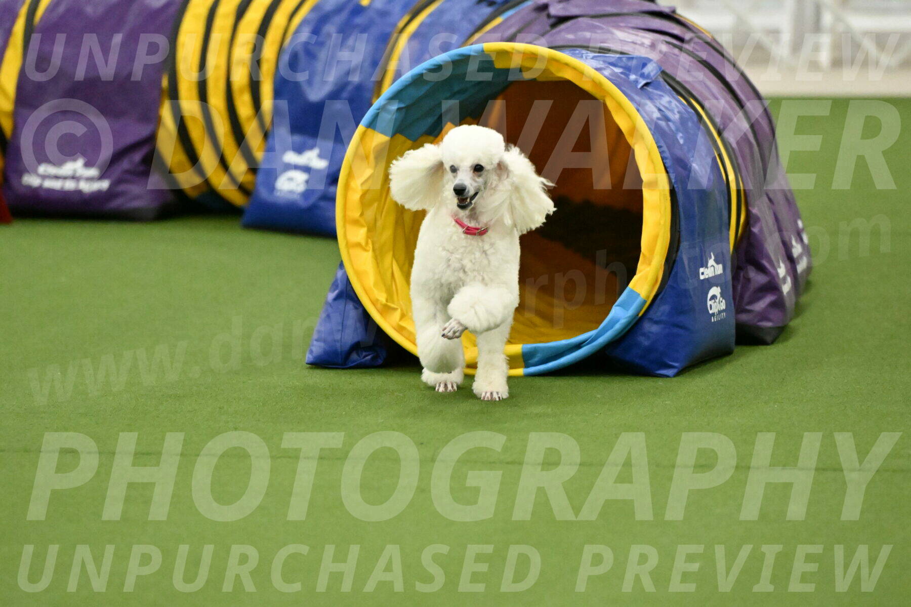 MAS-EX-JWW-12-Inch_0980