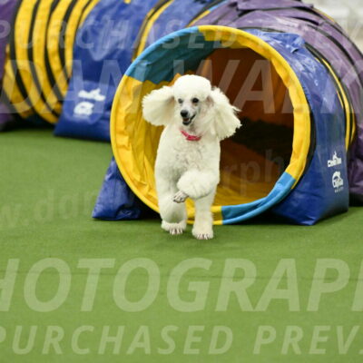 MAS-EX-JWW-12-Inch_0980