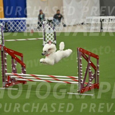 MAS-EX-JWW-12-Inch_0986