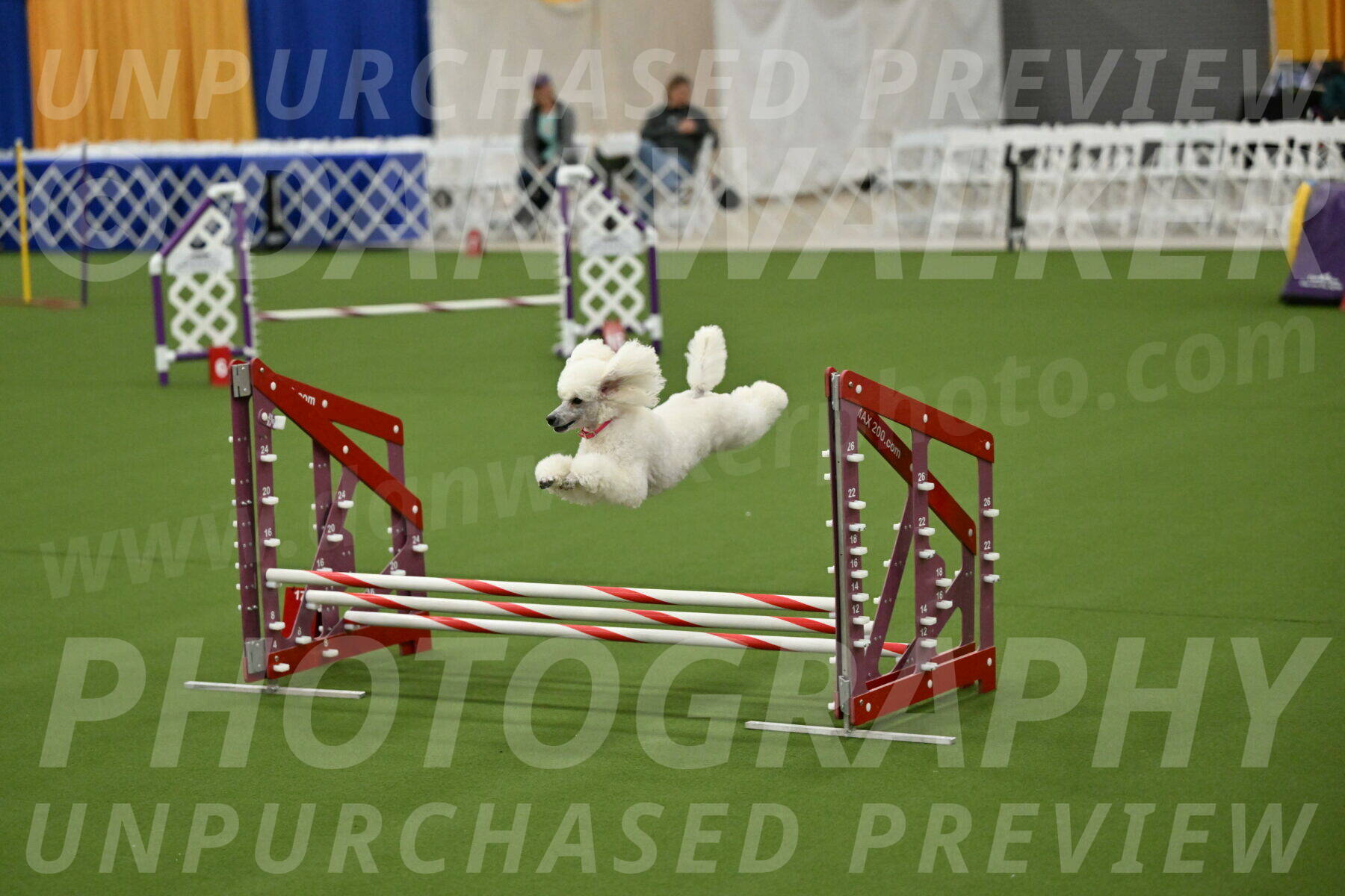 MAS-EX-JWW-12-Inch_0986