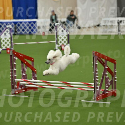 MAS-EX-JWW-12-Inch_0987