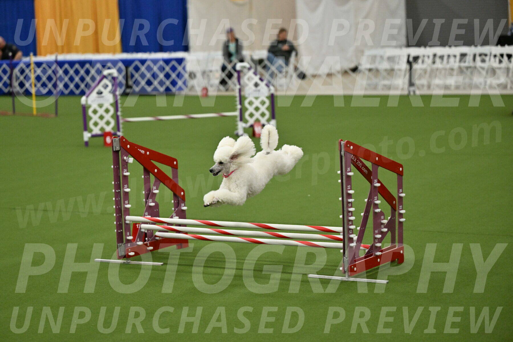 MAS-EX-JWW-12-Inch_0987