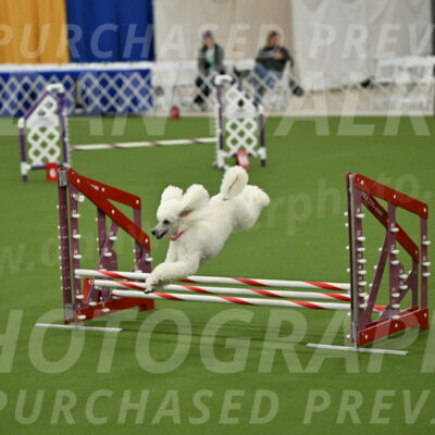 MAS-EX-JWW-12-Inch_0988