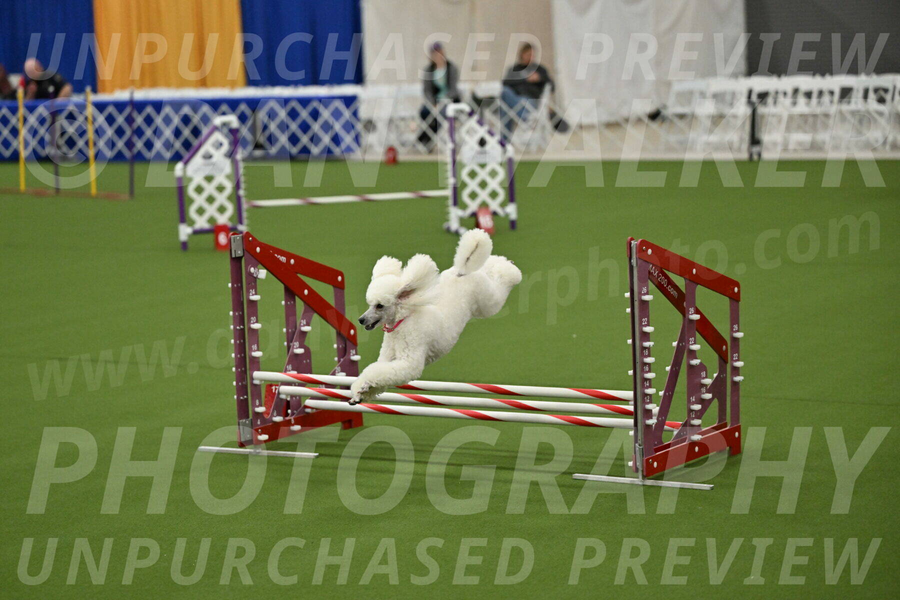 MAS-EX-JWW-12-Inch_0988